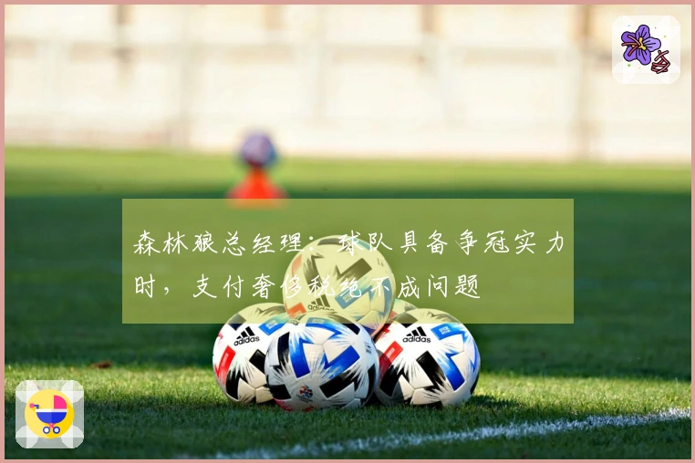 森林狼总经理：球队具备争冠实力时，支付奢侈税绝不成问题